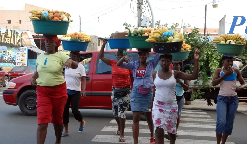Instituto Duartiano: denuncia ONG sobre cacería de haitianos busca extorsionar al país